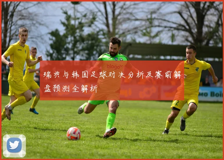 瑞典与韩国足球对决分析及赛前解盘预测全解析